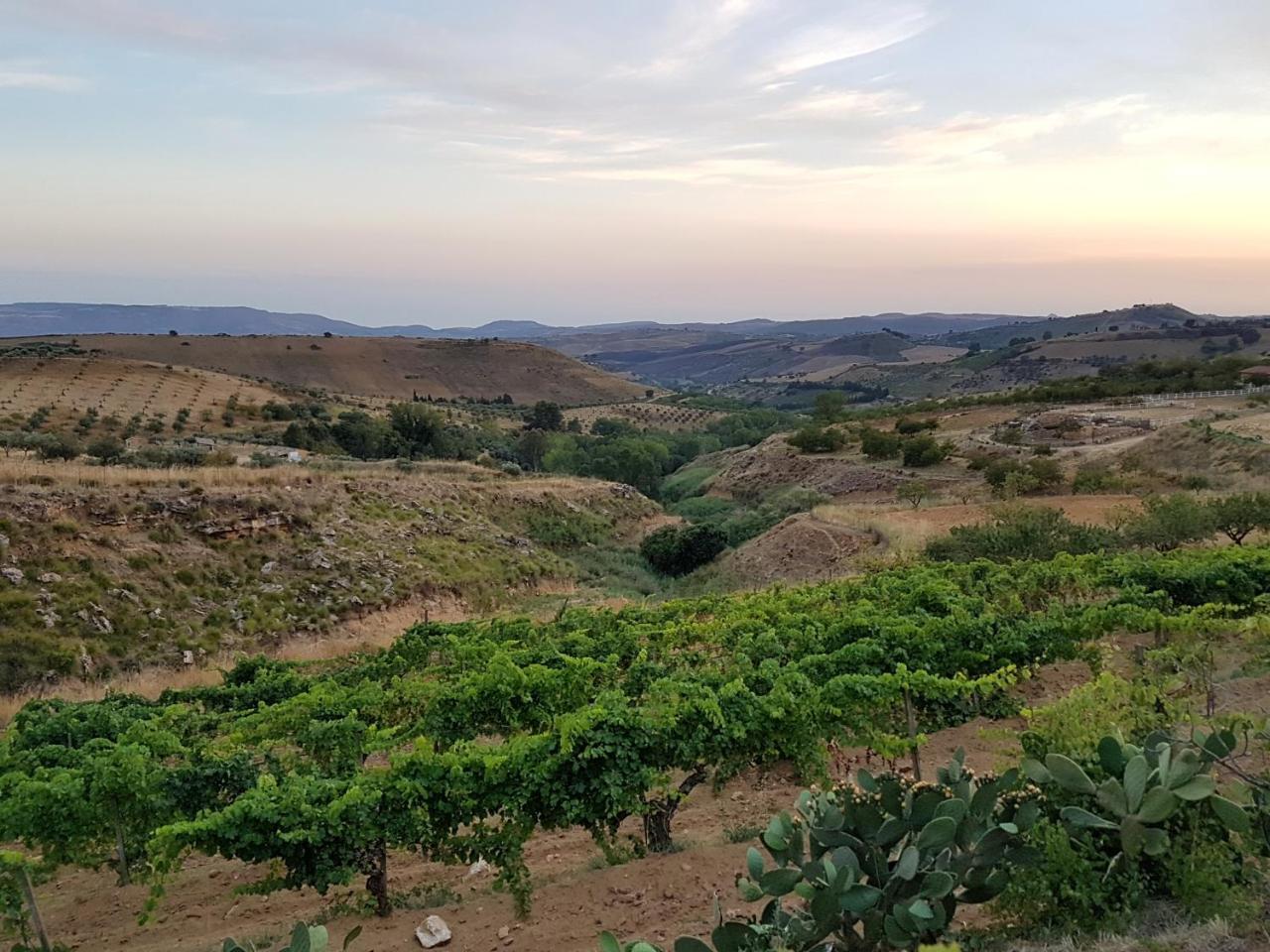 Agriturismo Il Drago Mirabella Imbaccari Exterior foto